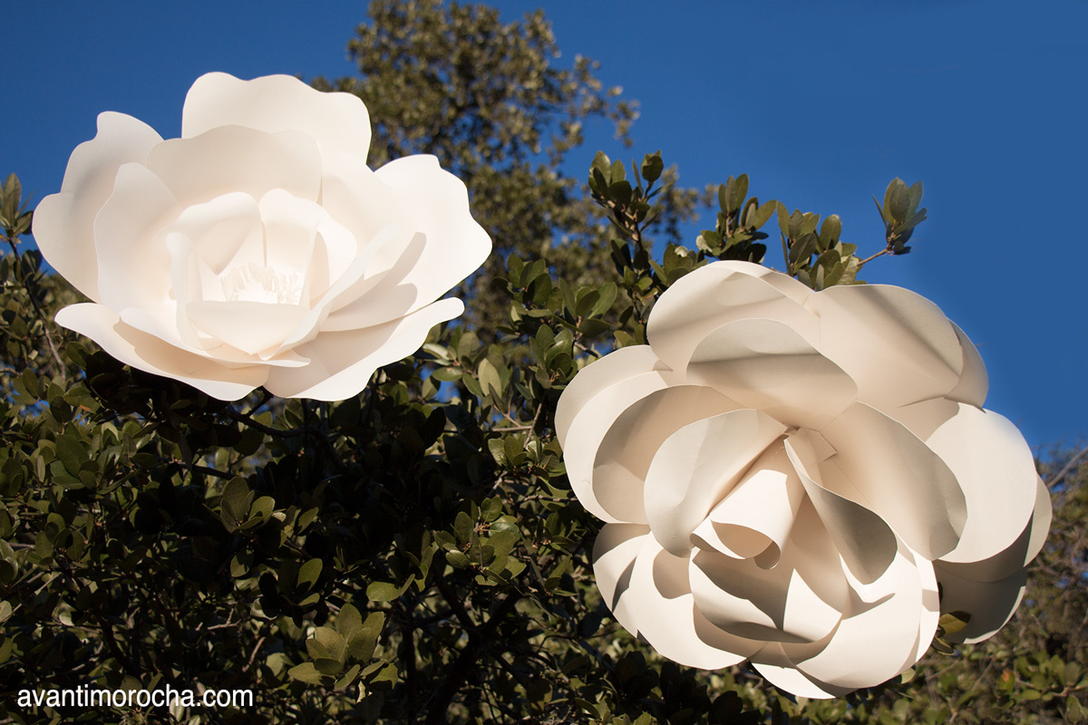 DIY Giant Paper Rose